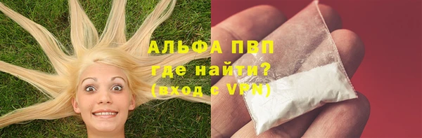 индика Бугульма