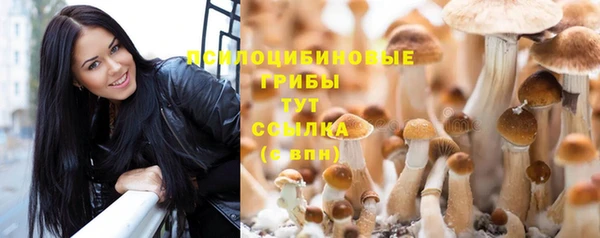 герыч Бронницы