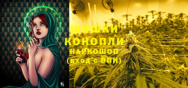 сатива Богданович