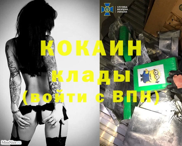 сатива Богданович