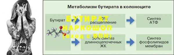 сатива Богданович