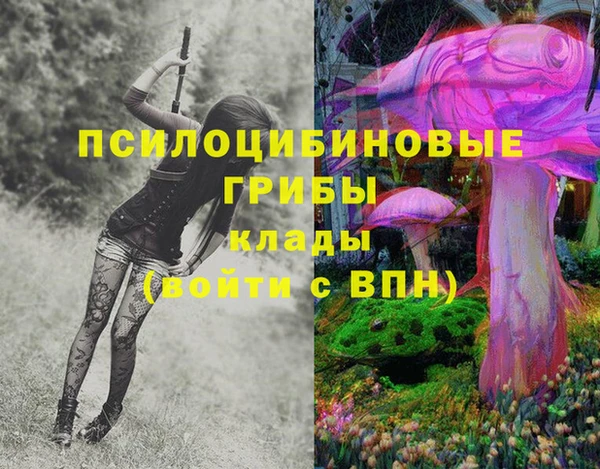 сатива Богданович