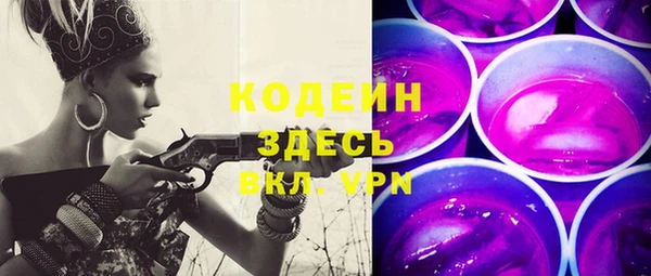индика Бугульма