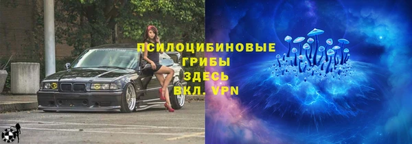 индика Бугульма