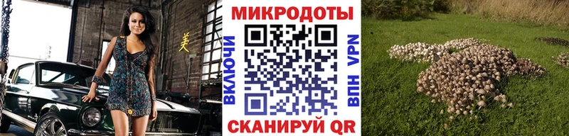 Псилоцибиновые грибы мухоморы Хабаровск